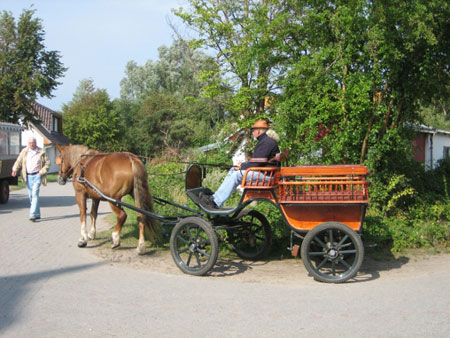 hiddensee_kutschfahrt
